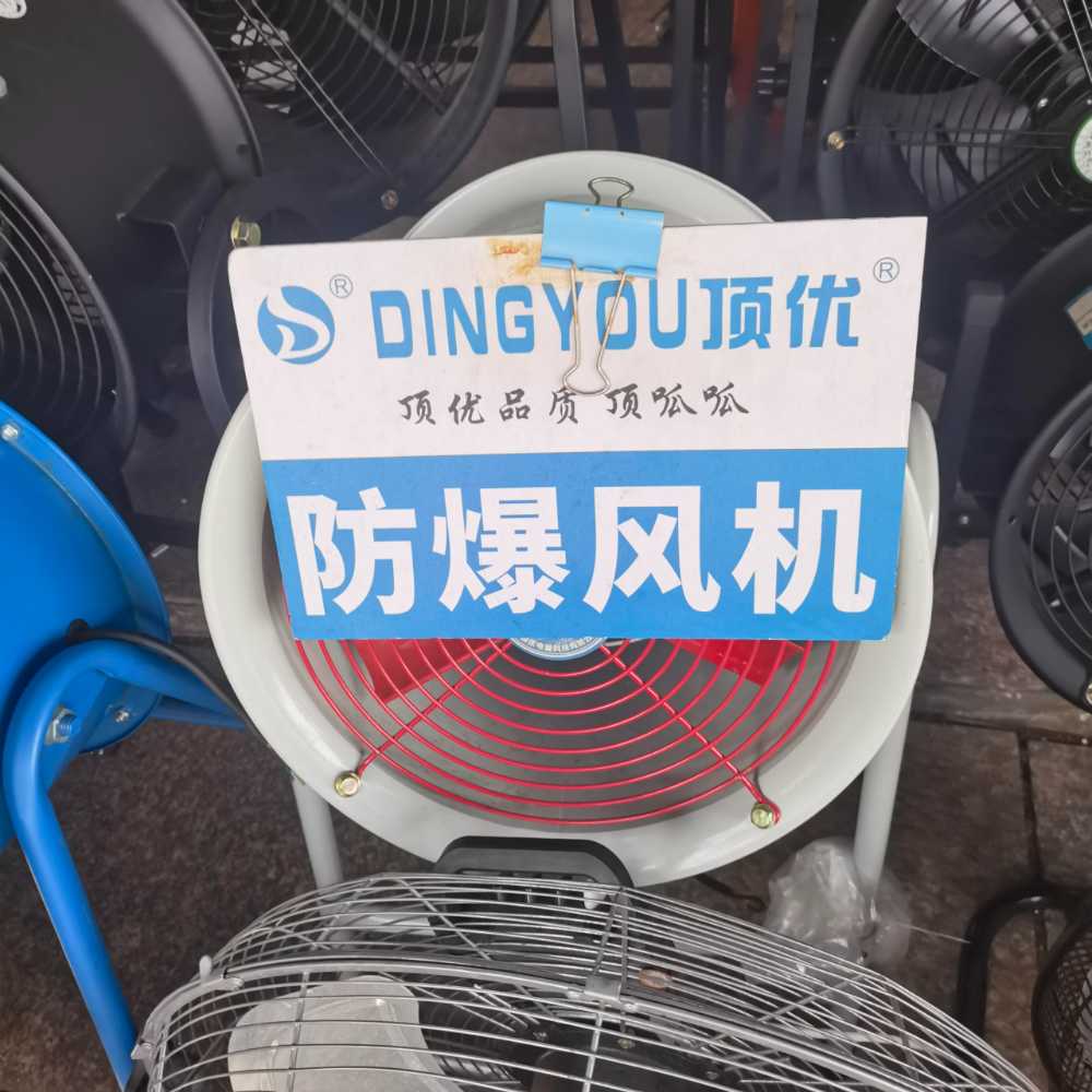 顶优 落地防爆风机