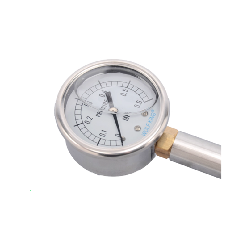贵忠 不锈钢稳定阀压力表0-0.6MPa